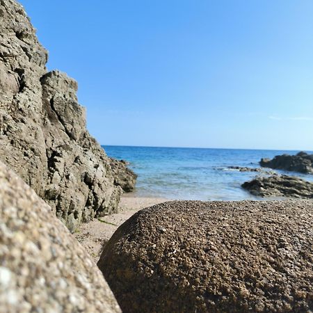 Le 3 Appartement Vue Mer Avec Jardin 100M De La Plage Et De La Thalasso Конкарно Екстериор снимка