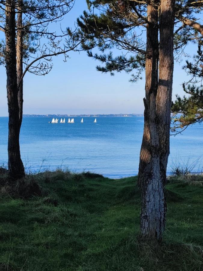 Le 3 Appartement Vue Mer Avec Jardin 100M De La Plage Et De La Thalasso Конкарно Екстериор снимка