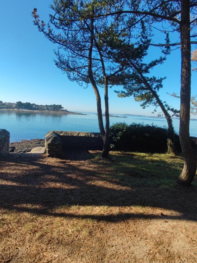 Le 3 Appartement Vue Mer Avec Jardin 100M De La Plage Et De La Thalasso Конкарно Екстериор снимка